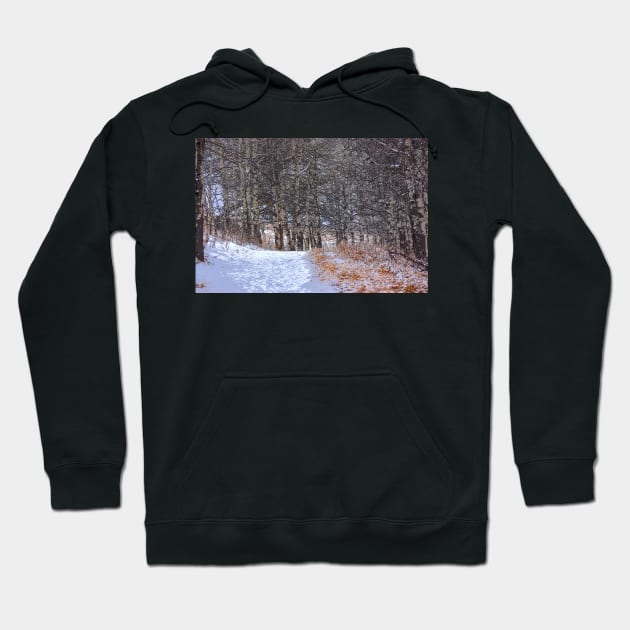 Winter Trail. Hoodie by CanadianWild418